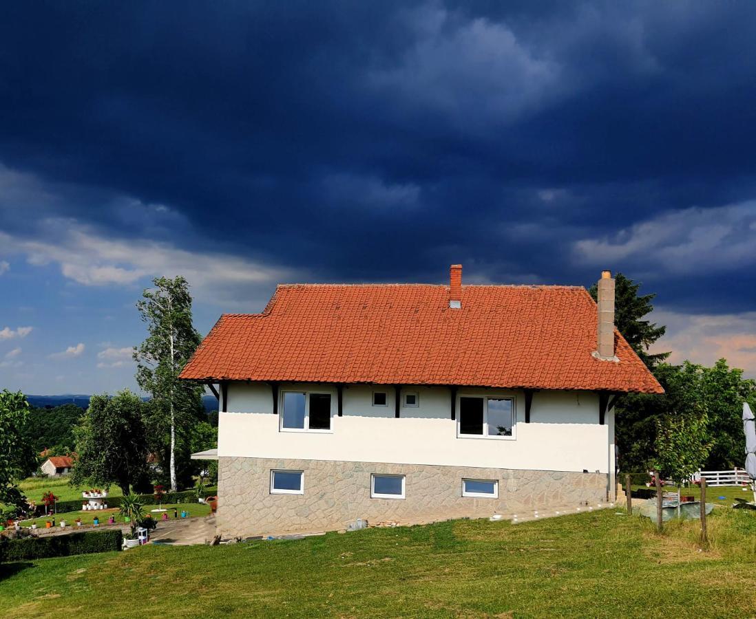Odmor Na Selu Babajic Apartment Ljig Exterior photo