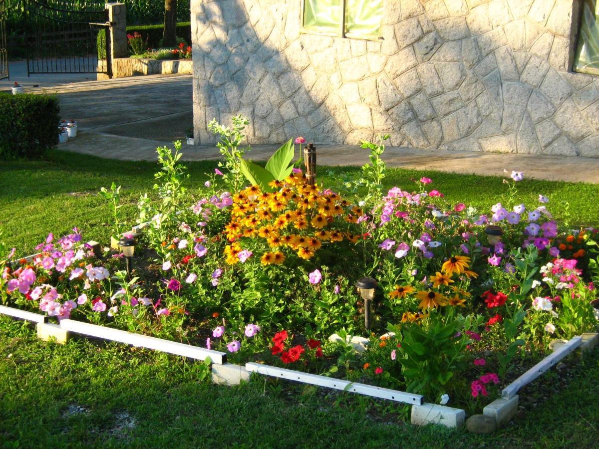 Odmor Na Selu Babajic Apartment Ljig Exterior photo